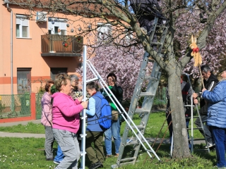 A kertvárosi tojásfa – civil összefogással - fotó: 