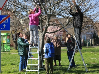 A kertvárosi tojásfa – civil összefogással - fotó: 