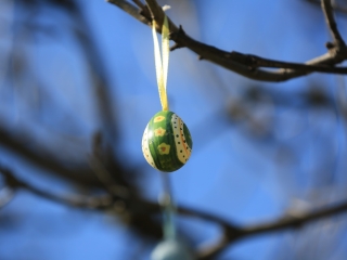 A kertvárosi tojásfa – civil összefogással - fotó: 