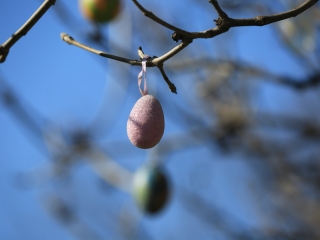 A kertvárosi tojásfa – civil összefogással - fotó: 