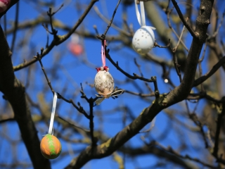 A kertvárosi tojásfa – civil összefogással - fotó: 