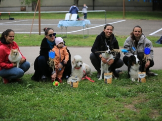 Közösségi akció a Liget közben - fotó: 