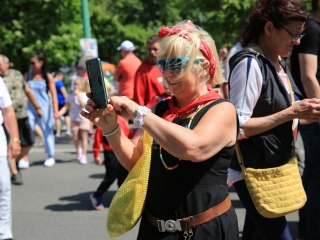 Sugárúti Fesztivál (2024) - fotó: 