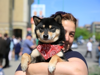 Sugárúti Fesztivál (2024) - fotó: 