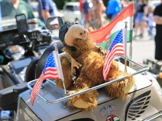 Sugárúti Fesztivál (2024) - fotó: 