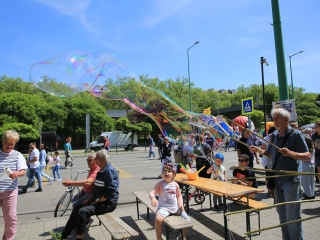 Sugárúti Fesztivál (2024) - fotó: 