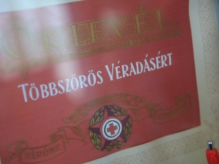 Sugárúti Fesztivál (2024) - fotó: 