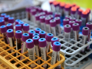 Sugárúti Fesztivál (2024) - fotó: 