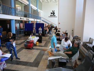 Sugárúti Fesztivál (2024) - fotó: 