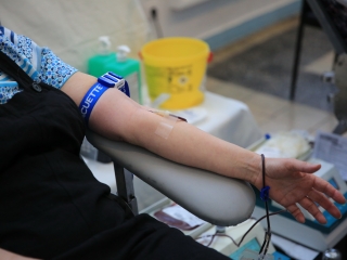 Sugárúti Fesztivál (2024) - fotó: 