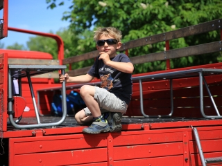 Sugárúti Fesztivál (2024) - fotó: 