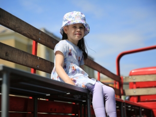 Sugárúti Fesztivál (2024) - fotó: 