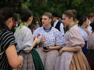 Sugárúti Fesztivál (2024) - fotó: 