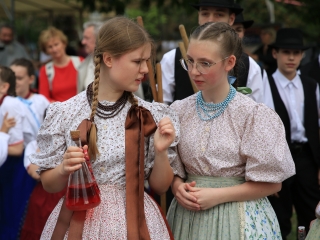 Sugárúti Fesztivál (2024) - fotó: 