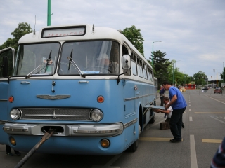 Sugárúti Fesztivál (2024) - fotó: 