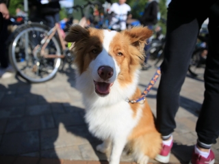 38. Bringatúra - fotó: 