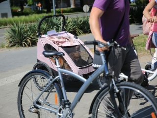 38. Bringatúra - fotó: 