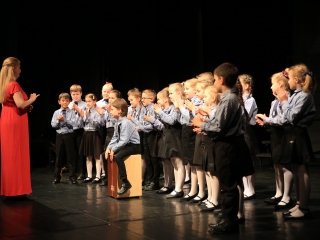 Jeles összefogás a jótét célú gálán - fotó: 