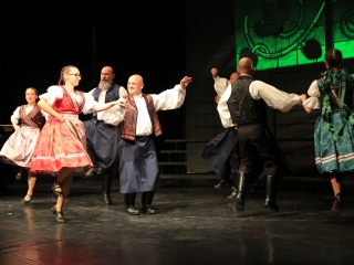 Jeles összefogás a jótét célú gálán - fotó: 