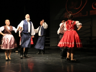 Jeles összefogás a jótét célú gálán - fotó: 