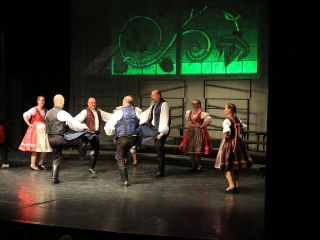 Jeles összefogás a jótét célú gálán - fotó: 