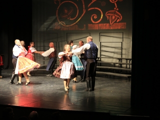 Jeles összefogás a jótét célú gálán - fotó: 