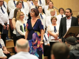 Minifesztivál és gálakoncert a jubileumon - fotó: 