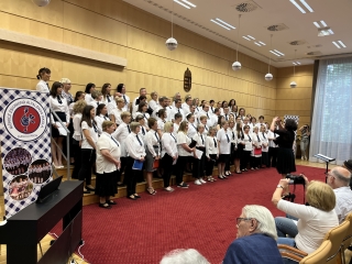 Minifesztivál és gálakoncert a jubileumon - fotó: 