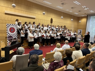 Minifesztivál és gálakoncert a jubileumon - fotó: 