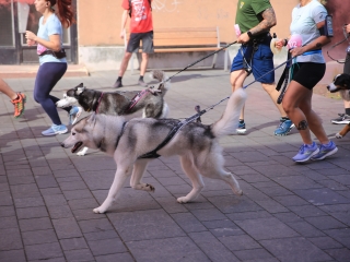 Jót Fut a Város (2024) - fotó: 