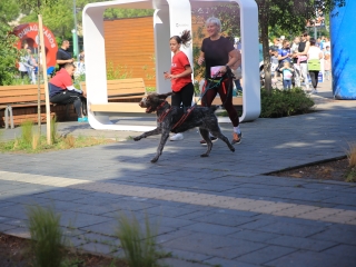 Jót Fut a Város (2024) - fotó: 