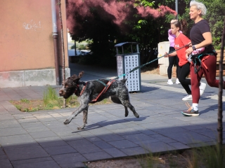 Jót Fut a Város (2024) - fotó: 