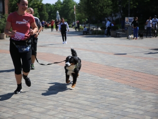 Jót Fut a Város (2024) - fotó: 