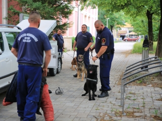 Rend & védelem egy seregszemle képein (2024) - fotó: 