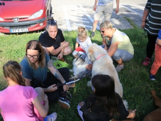 Gyermeknapi meglepetés (2024) - fotó: 