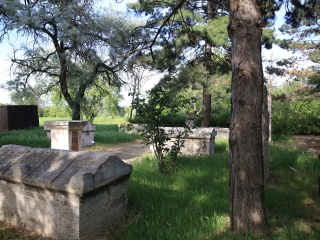 Gyermeknapi meglepetés (2024) - fotó: 