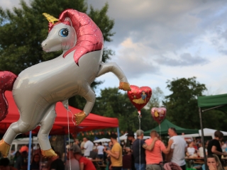  Két nap felhőtlenség a Szalki-szigeten - fotó: 