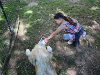 Gyermeknapi játszótér-avató a Bocskain - fotó: 