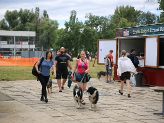 I. Duna Dog Center Fesztivál - fotó: 