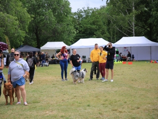I. Duna Dog Center Fesztivál - fotó: 