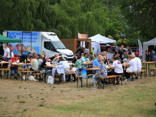 I. Duna Dog Center Fesztivál - fotó: 