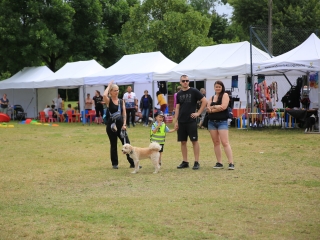 I. Duna Dog Center Fesztivál - fotó: 