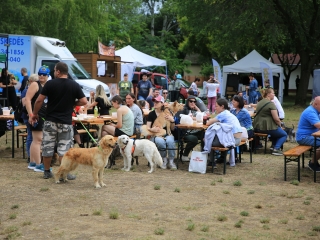 I. Duna Dog Center Fesztivál - fotó: 