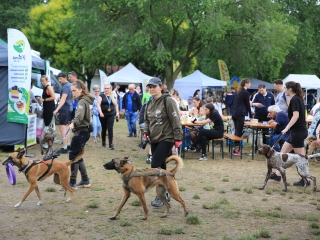 I. Duna Dog Center Fesztivál - fotó: 