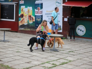 I. Duna Dog Center Fesztivál - fotó: 