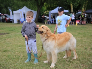 I. Duna Dog Center Fesztivál - fotó: 