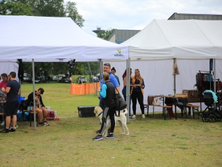 I. Duna Dog Center Fesztivál - fotó: 