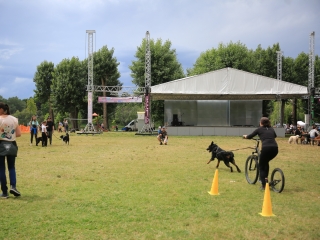 I. Duna Dog Center Fesztivál - fotó: 