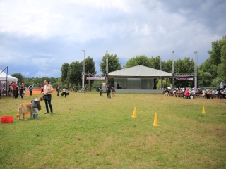 I. Duna Dog Center Fesztivál - fotó: 