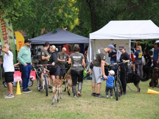 I. Duna Dog Center Fesztivál - fotó: 